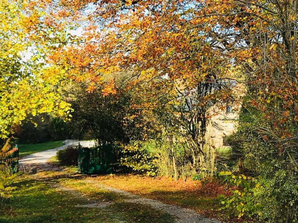 Lovely Meadow House In The Land Of Croix Scaille Gedinne Екстериор снимка