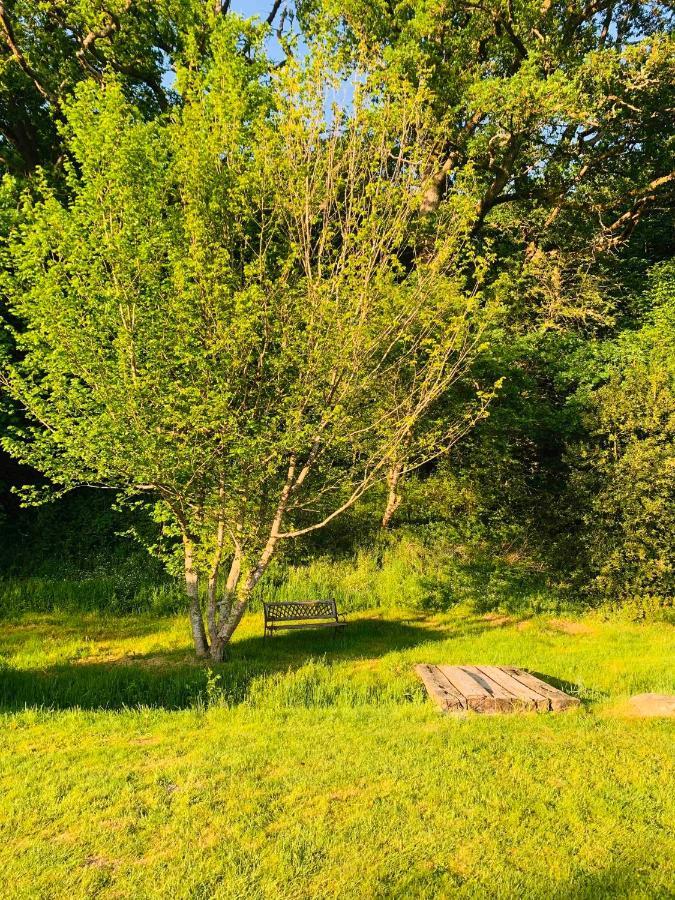 Lovely Meadow House In The Land Of Croix Scaille Gedinne Екстериор снимка